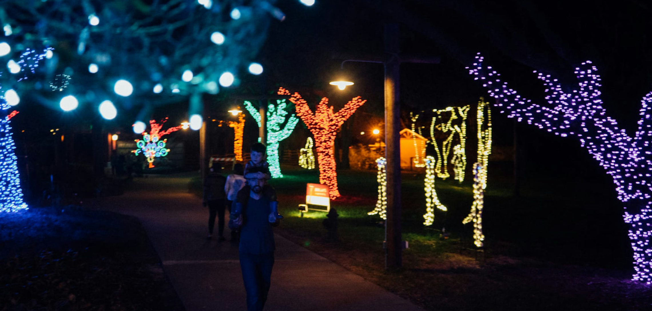 Merry And Bright Local Light Displays To Check Out This December